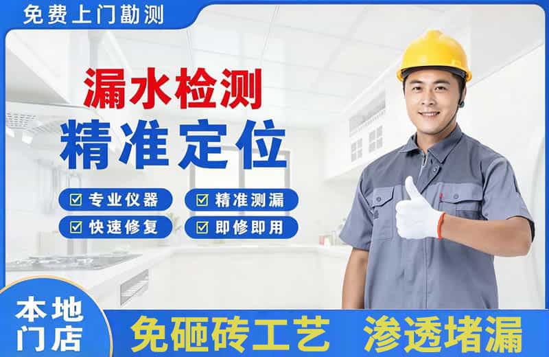 郊区漏水检测精准定位